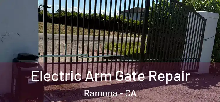 Electric Arm Gate Repair Ramona - CA