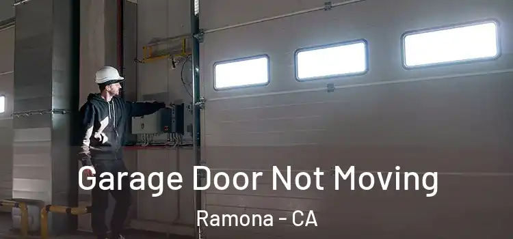  Garage Door Not Moving Ramona - CA