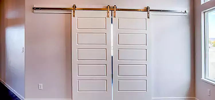 Glass Barn Door with Installation Hardware Kit Ramona