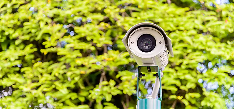 Advanced Surveillance Solutions for Every Need in Ramona