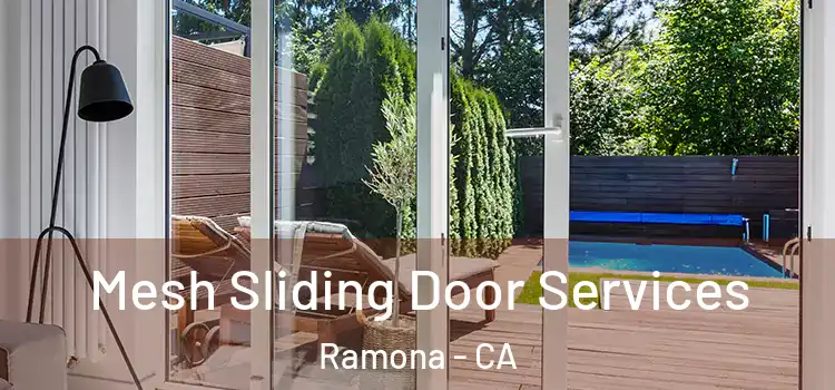 Mesh Sliding Door Services Ramona - CA