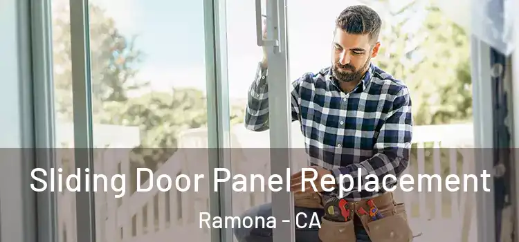  Sliding Door Panel Replacement Ramona - CA